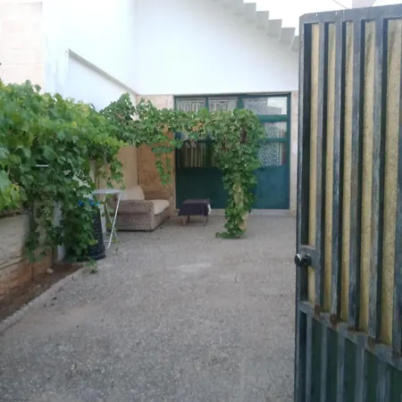 Mimose * Галлиполи