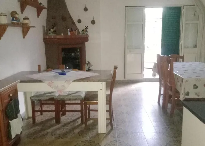 Mimose Галлиполи