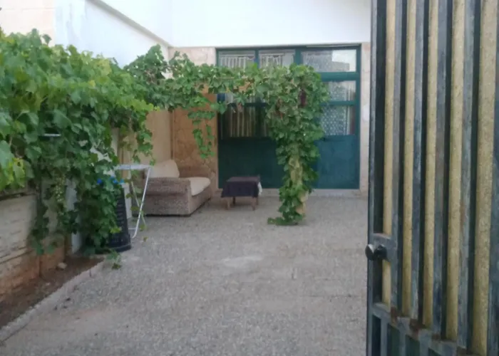 Mimose * Галлиполи